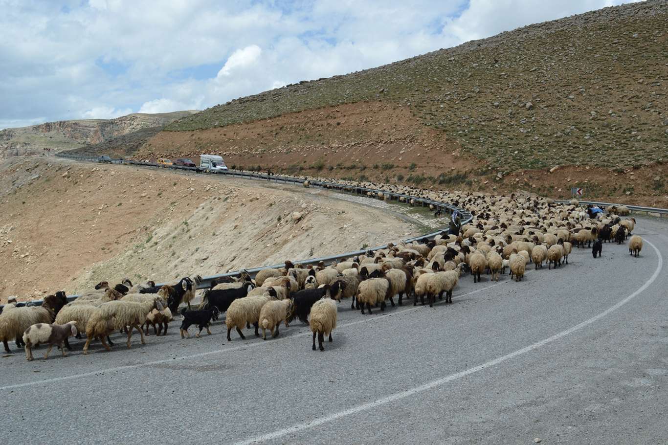 Göçerlerin zorlu yayla yolculuğu başladı